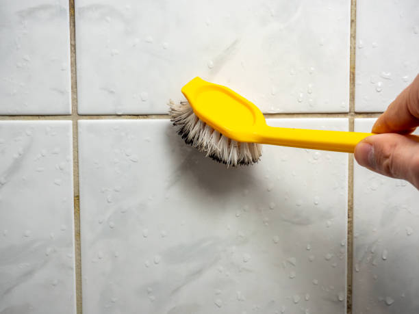 Best Water Damage Restoration  in Jonesville, MI