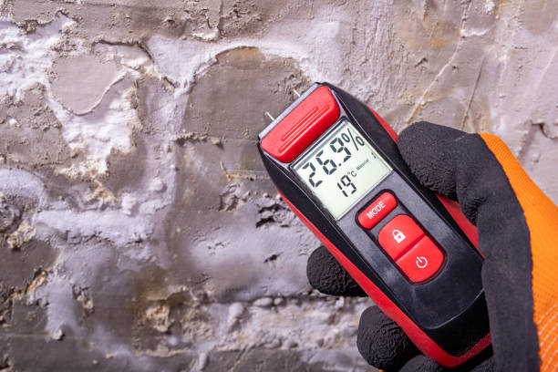 Jonesville, MI Mold Removal Company
