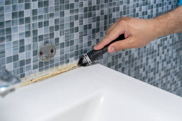 Best Affordable Mold Removal  in Jonesville, MI