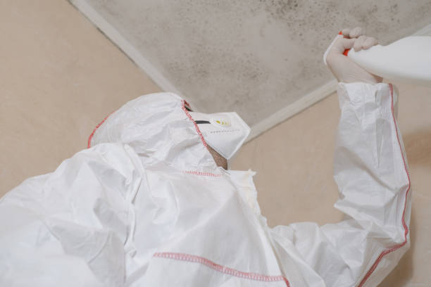 Best Residential Mold Removal  in Jonesville, MI
